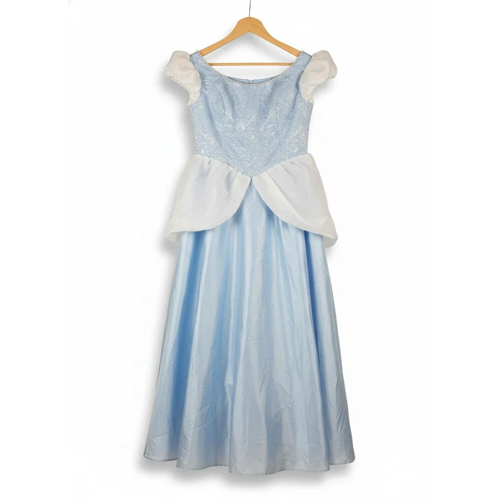 Classic Cinderella Dress Cinderella Cosplay Costume – Lydiacosplay SZ 16/XL